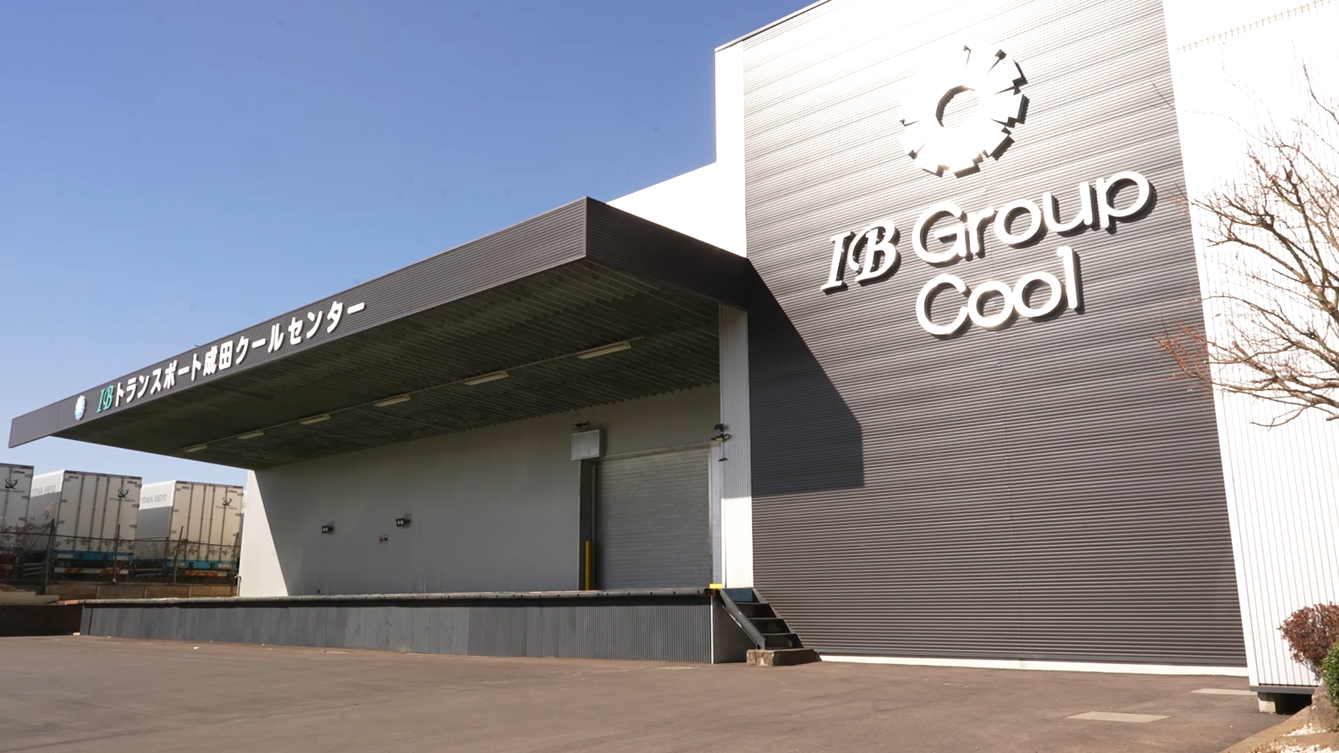 IB Group